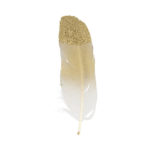 Διακοσμητικά χρυσά φτερά γκλίτερ Artemio 6 τεμαχίων (13030111)