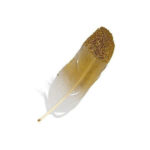 Διακοσμητικά χρυσά φτερά γκλίτερ Artemio 6 τεμαχίων (13030111)