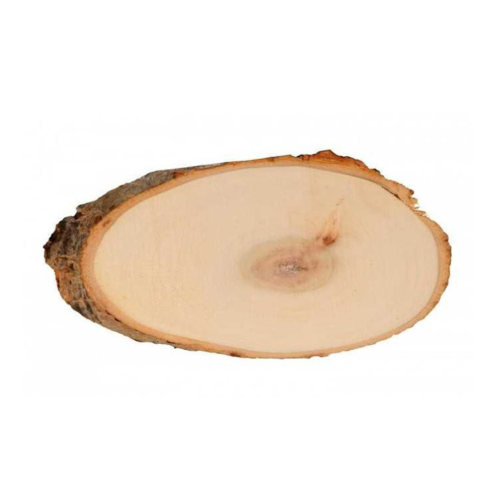 Κορμός ξύλινος Artemio σετ 2τμχ οβαλ 20-23cm (14002961)