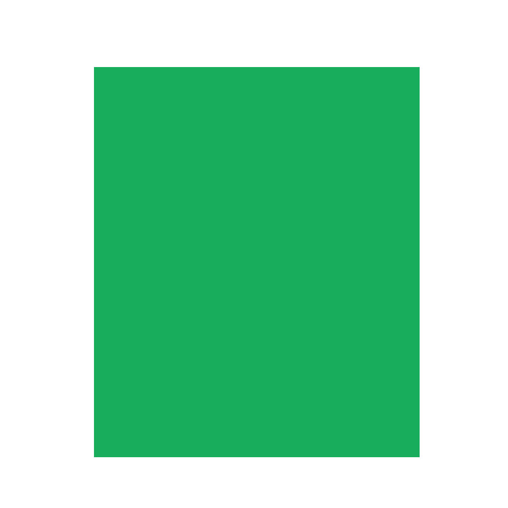 Χαρτόνι κανσόν Favini 50X70cm 220gr green (2304)